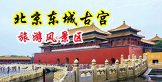 午夜ww∨中国北京-东城古宫旅游风景区